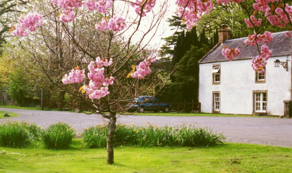 Inverawe Cottages Taynuilt Room photo